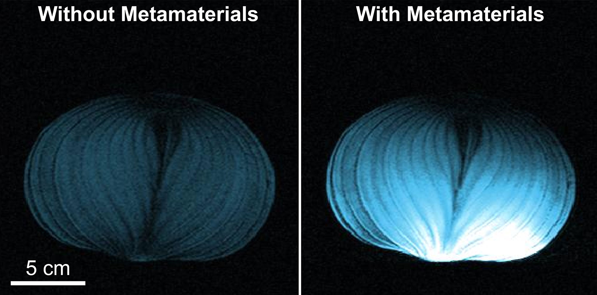 On the left, the onion appears only faintly. On the right, the onion appears bright blue, with much more detail visible. 