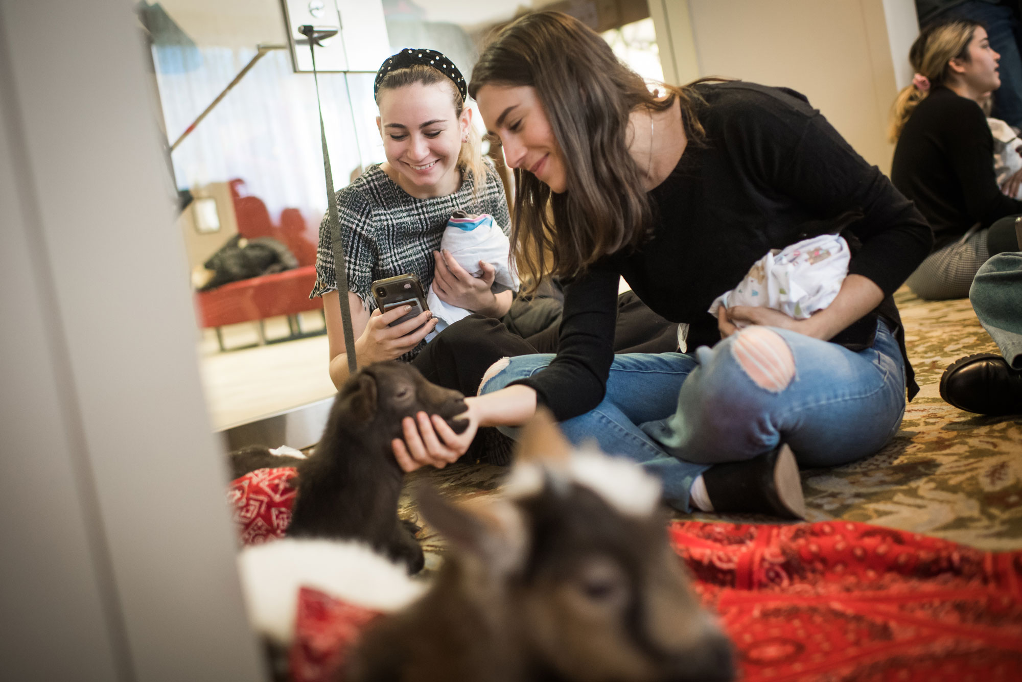 Students pet baby goats to destress from finals.