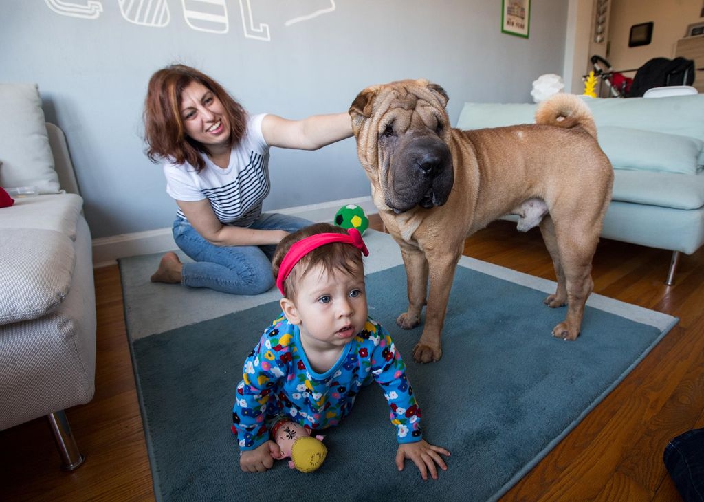 Ekaterina Yakimkina and her daughter play with their Shar-Pei named Baloo