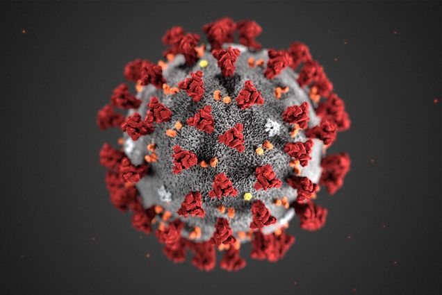 CDC Illustration of Novel Coronavirus 2019 (2019-nCoV)