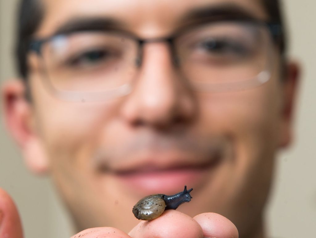 Evan Kuras holds one of his pet snails on his fingertip.