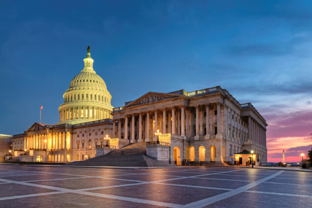 A photo of the U.S. Capitol building in Washington D.C.