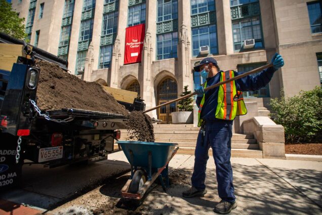 Image of Larry Herrera, of BU's Grounds crew, moving dirt into a wheelbarrow to lay grass seed along CAS on May 13, 2020. He wears a mask, baseball cap, and reflector vest.
