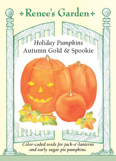 Seed packet artwork for Renee’s Garden Seeds. Packet reads: Holiday Pumpkins, Autumn Gold and Spookie. Color-coded seeds for jack-o-landterns and early sugar pie pumpkins. Watercolor illustration of three pumpkins of various sizes, one is carved with jack’o’lantern face.