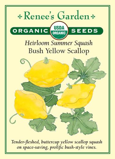 Seed packet artwork for Renee’s Garden Seeds. Packet reads: Organic USDA seeds. Heirloom Summer Squash, Bush Yellow Scallop. Tender-fleshed, buttercup yellow scallop squash on space-saving, prolific bush-style vines. Watercolor illustration of three yellow, disc-shaped squash on a vine.