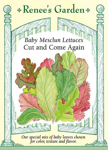 Seed packet artwork for Renee’s Garden Seeds. Packet reads: Baby mesclun lettuces, cut and come again. Our special mix of baby leaves chosen for color, texture and flavor. Watercolor illustration of a mix of red and green mesclun leaves.