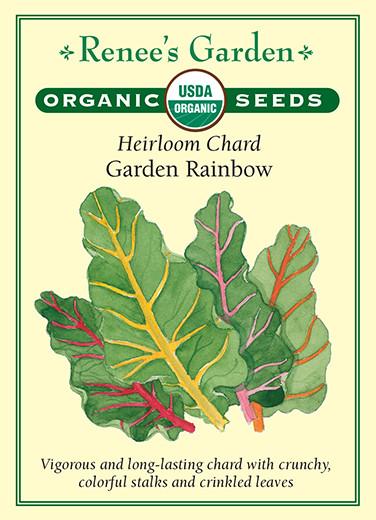 Seed packet artwork for Renee’s Garden Seeds. Packet reads: Organic USDA seeds. Heirloom Chard, Garden Rainbow. Vigorous and long-lasting chard with crunchy colorful stalks and crinkled leaves. Watercolor illustration of yellow-, pink-, and red-stoked chard leaves.