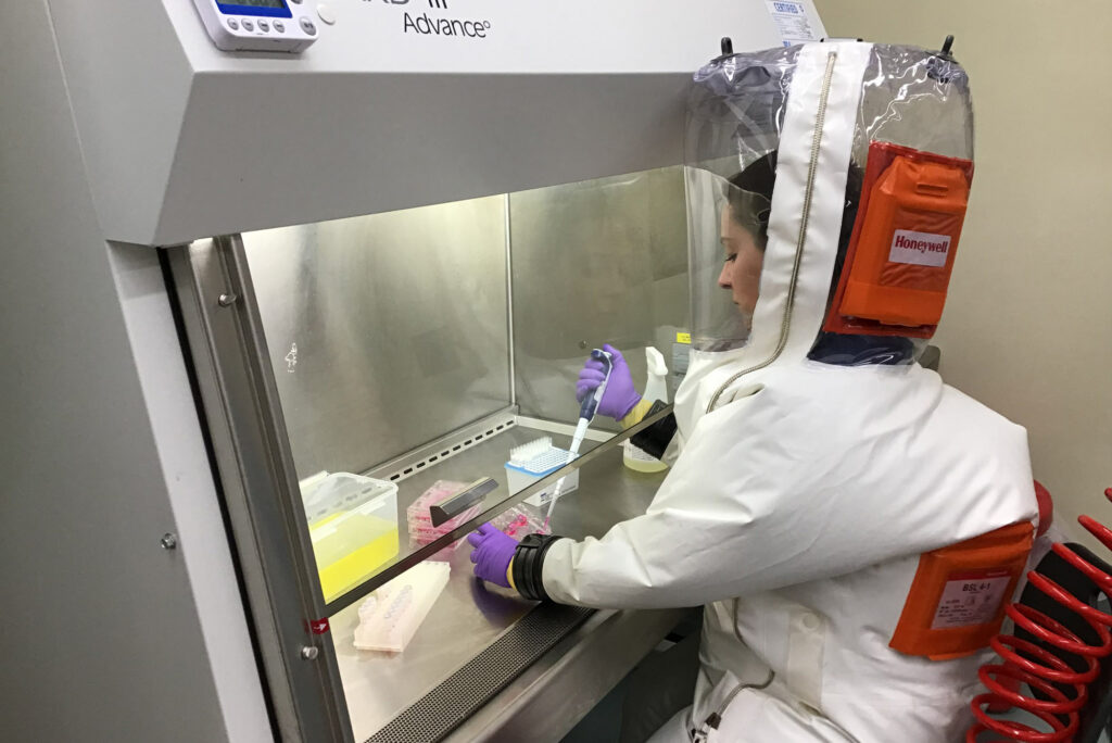 Anna Honko mixes the nanosponges with live SARS-CoV-2 virus and lung cells at the NEIDL, evaluating how well the nanosponges can deter the novel coronavirus from infecting lung cells. 