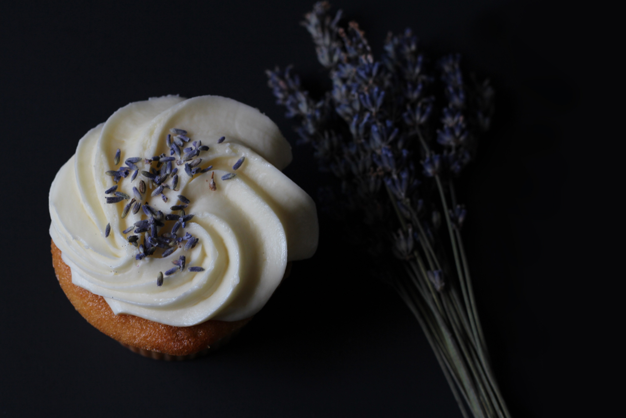 Photo of a lavender cupcake. The cupcake is vanilla with white frosting, and lavender flowers are sprinkled on top. The image is top lit and the background is dark.