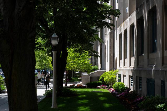 Images of Boston University campus on June 7, 2019. Light and shadow along the CAS building and Commonwealth Ave. The yard and trees are bright green.