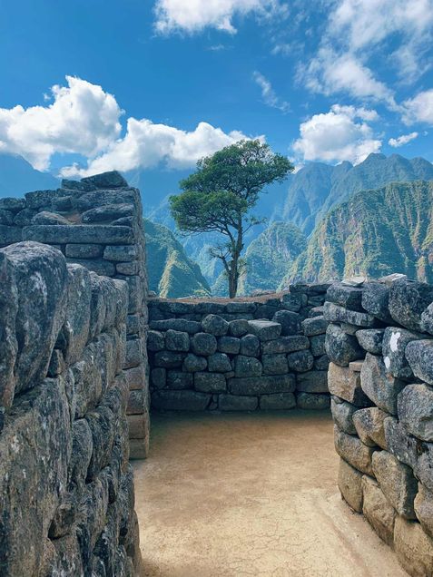 Photo of stone walls and a tree with very tall mountains and a blue sky in the background.