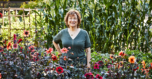 Seed Pioneer Renee Shepherd and the Gardening Life Bostonia Boston University