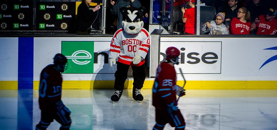 Photo of BU mascot Rhett the Terrier on the ice with the BU men’s hockey team during the 2020 Beanpot Tournament.