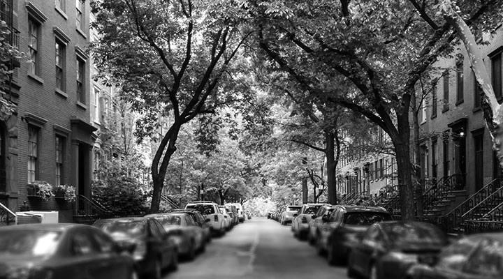 A photo of a street with cars parked and trees overhanging the street