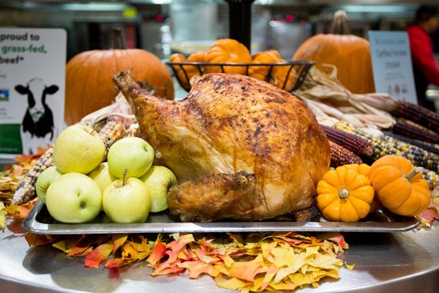 A photo of a turkey surrounded by apples, cranberries, pumpkins and gourds