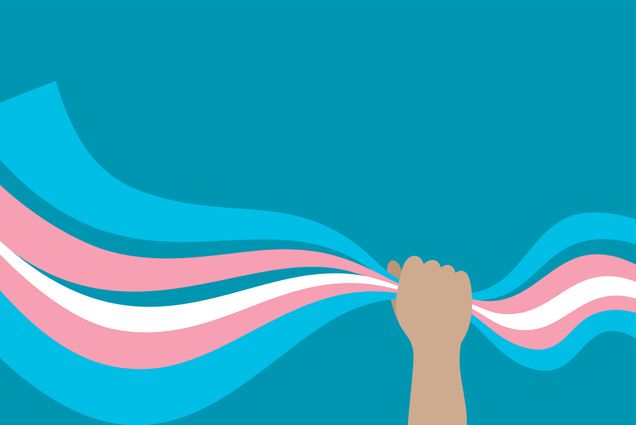 Illustration of a hand holding a bunch of ribbons that form the colors of the trans pride flag.