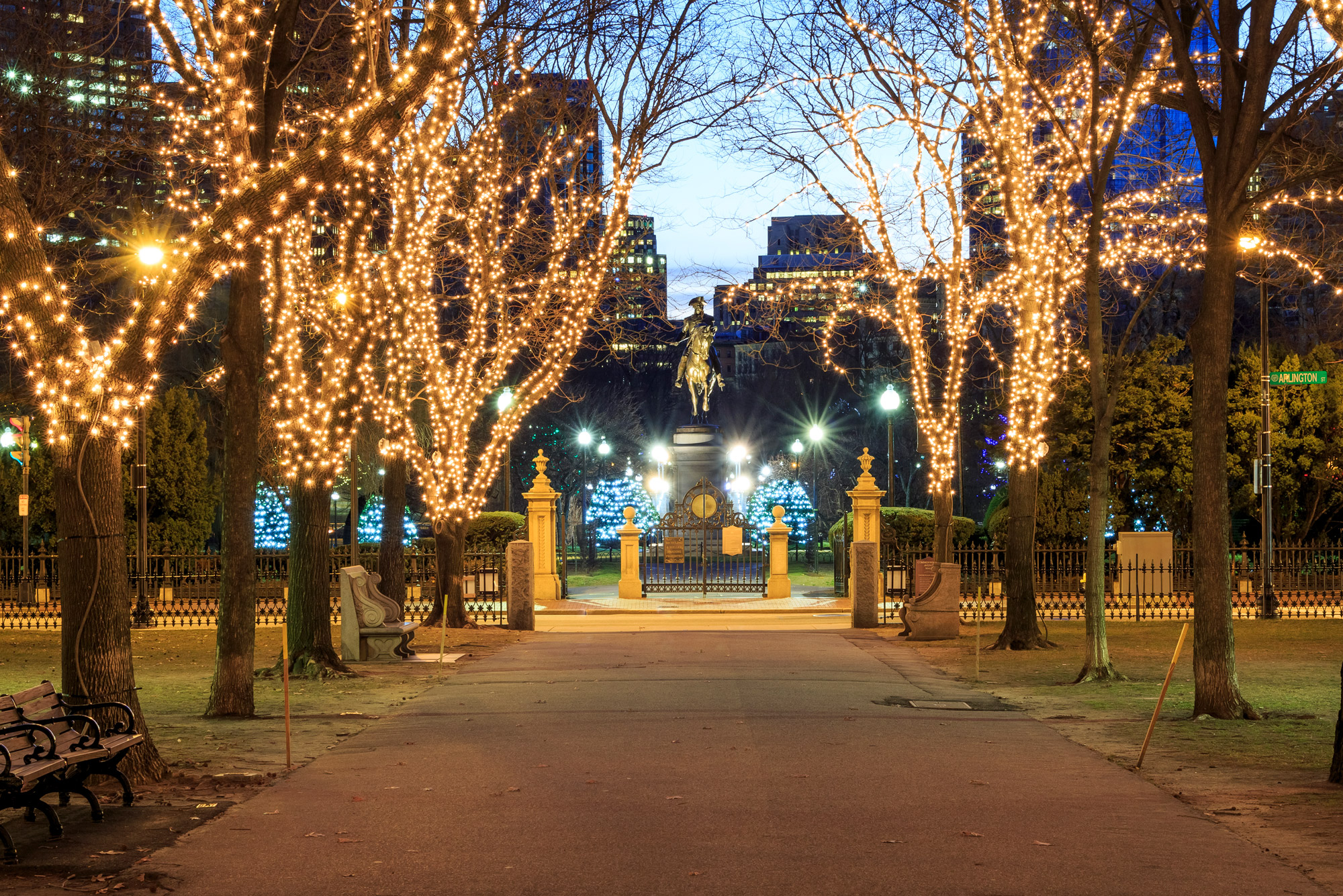 boston common tree lighting 2021 time