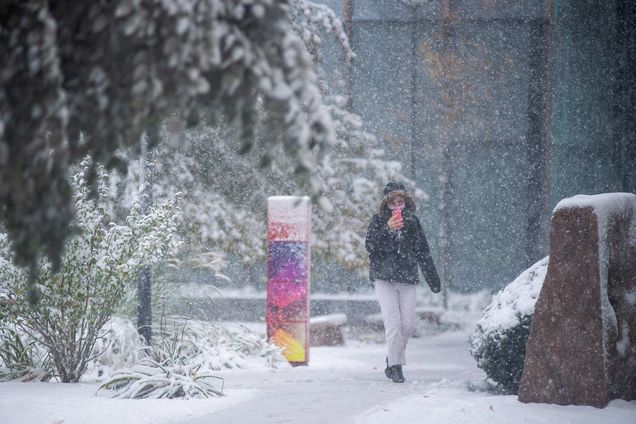 Photo of the snow storm on October 30, 2020 on campus. Someone in a jacket and a backpack walks through the flurries of snow.