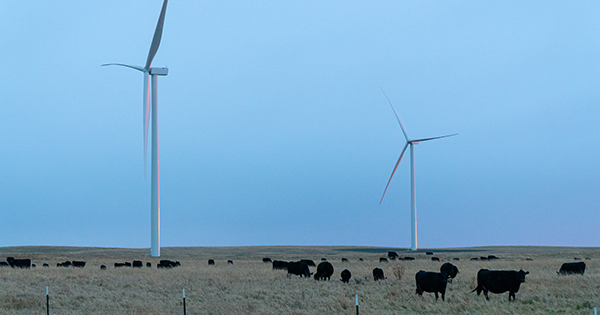 BU-Supported Wind Farm Now Up and Generating Clean Electricity | BU Today |  Boston University