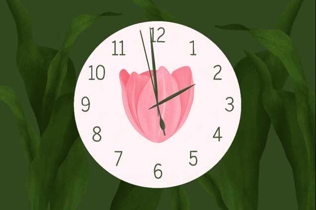 Animation of a pink clock with a tulip on it, with a green, leafy background. The hands of the clock spring forward an hour, representing “spring forward,” or daylight savings time change happening on March 14, when clocks move ahead one hour.