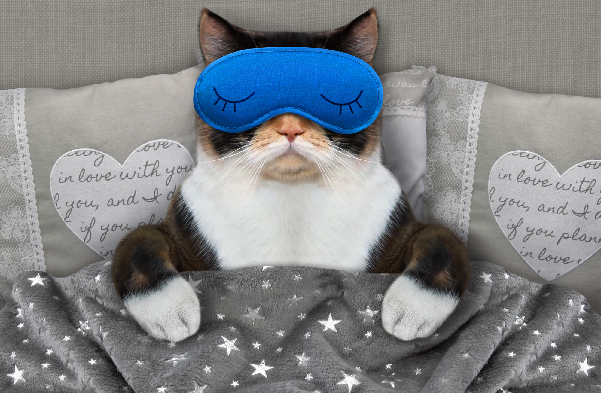 Eight Tips to Better Sleep | Hey BU - Vimarsana News