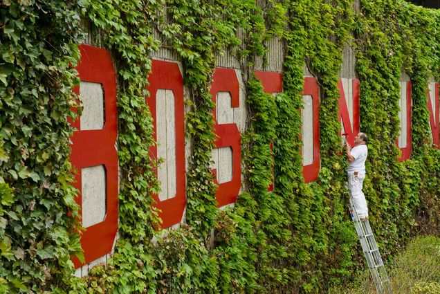 A photo of someone on a ladder painting the red "Boston University" letters that overlook Nickerson Field