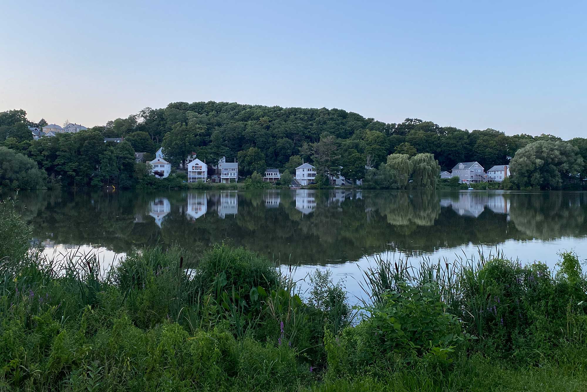 Photo of Chandler Pond taken at dusk; grass lines the pond's edge and white houses are seen in the distance.