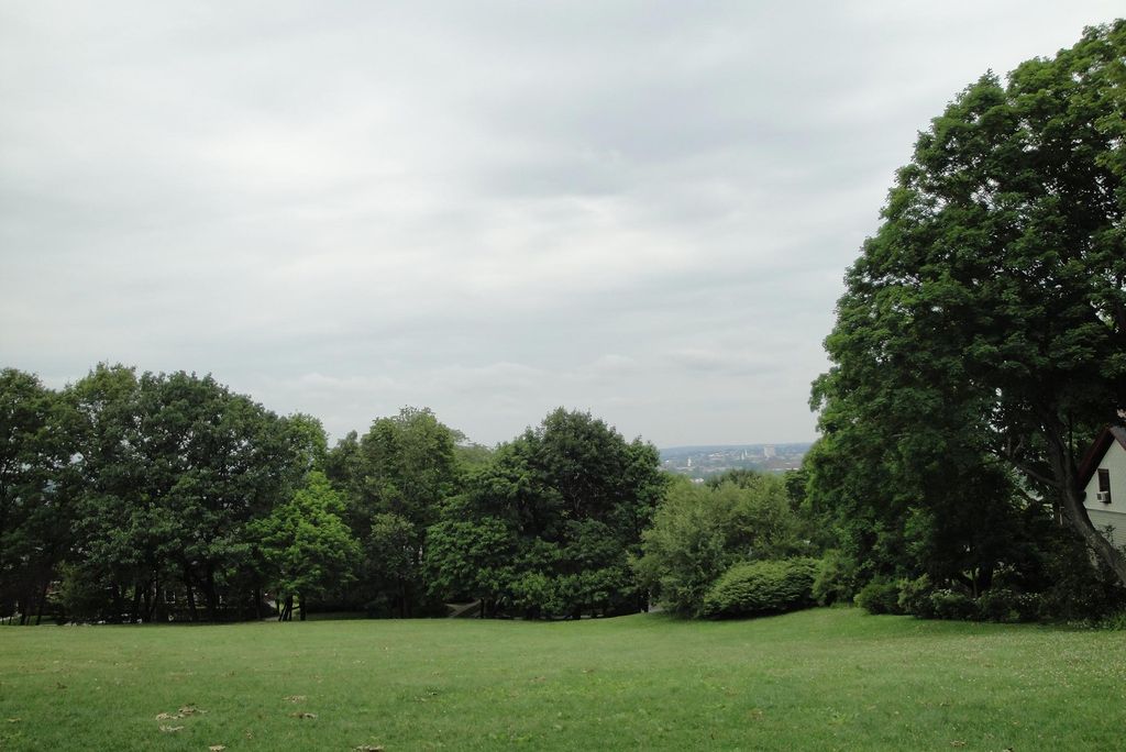 Photo at Corey Hill Park Brookline taken mid-summer, the sky is grayish and trees are full and green.