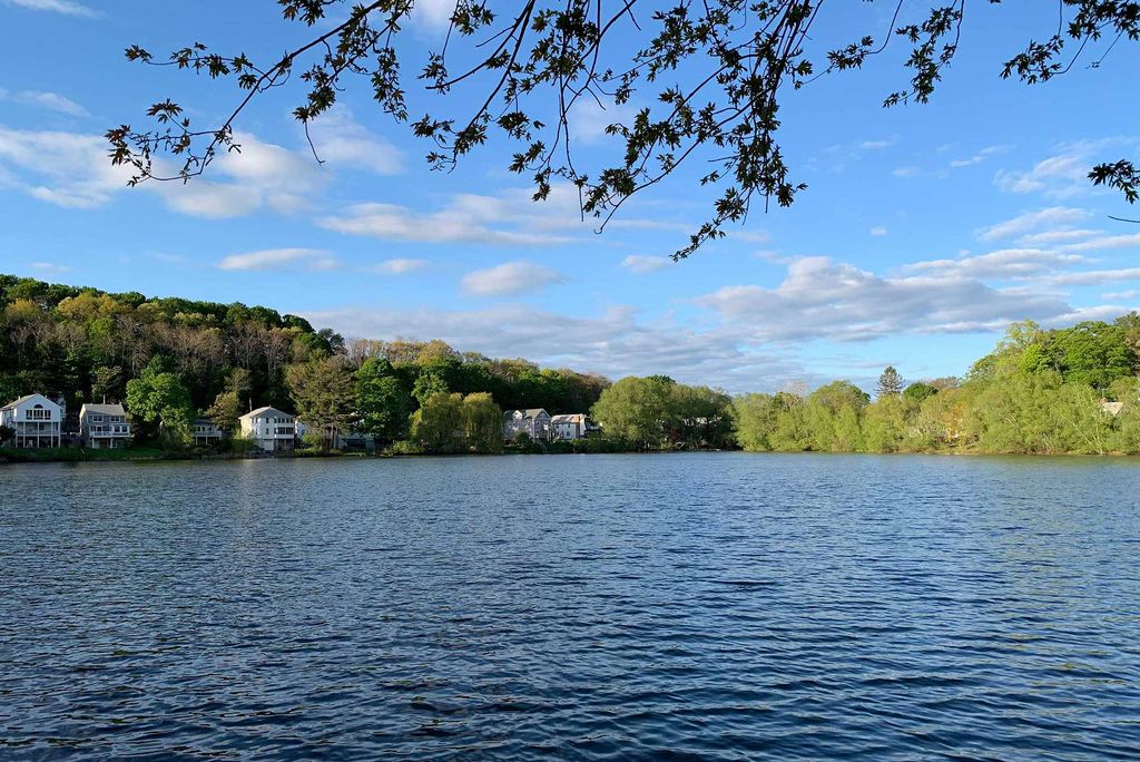 Photo of Chandler Pond taken on a sunny day, small clouds are seen in the sky; white houses are seen in the distance.