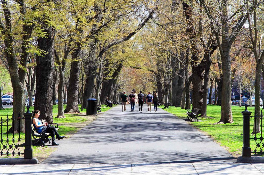 Photo of the Commonwealth Avenue Mall in Boston in Spring, the trees are just starting bud and a group of young people walk down the center of the path.