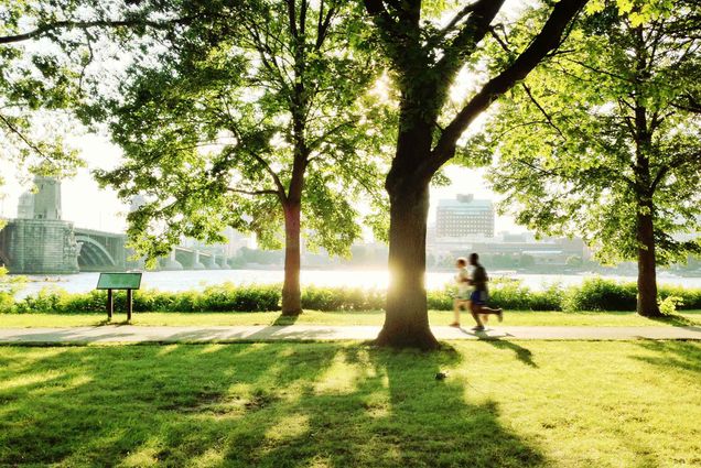 Two runners jogging along the Boston Esplanade