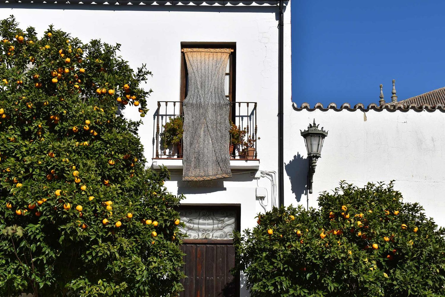 Annual Photo Contest Highlights BU Community’s Experience during