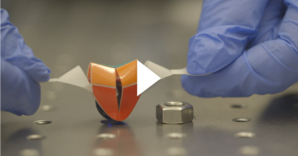 These Soft Robotic Grippers Were Inspired by an Ancient Japanese Art Form | The Brink - Vimarsana News