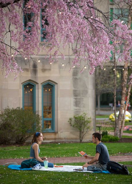 Photo of two students sitting on a blanket outside on the BU Beach underneath a cherry tree with pink blossom and string of outdoor lights.