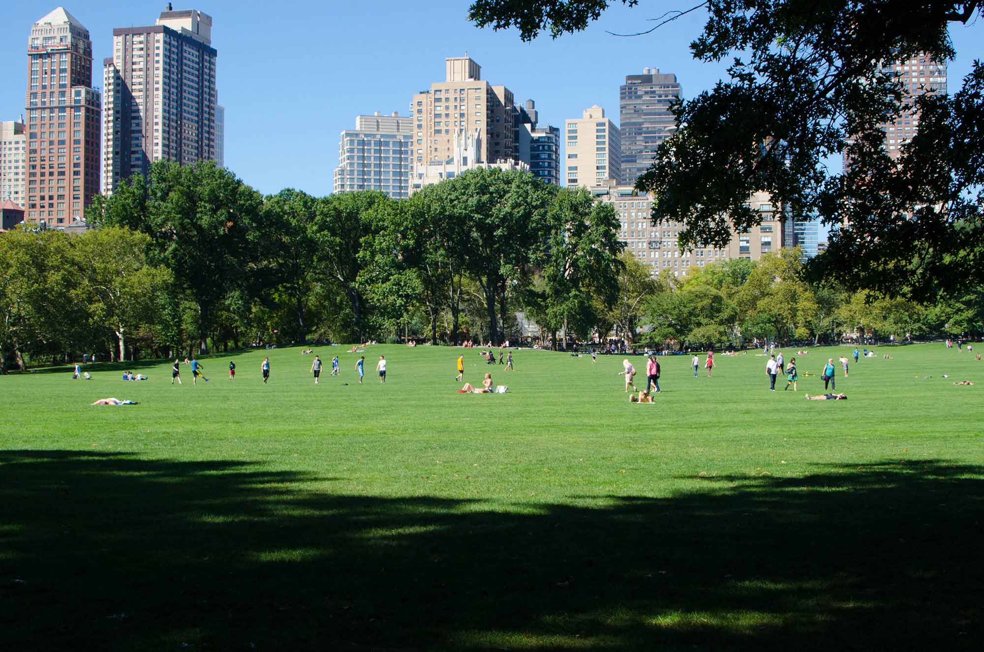 People playing and relaxing in a big, open field of green grass in a city park