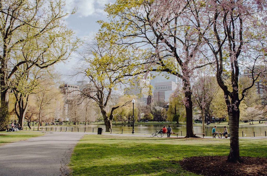 People sit on benches by a pond in an inner-city park.