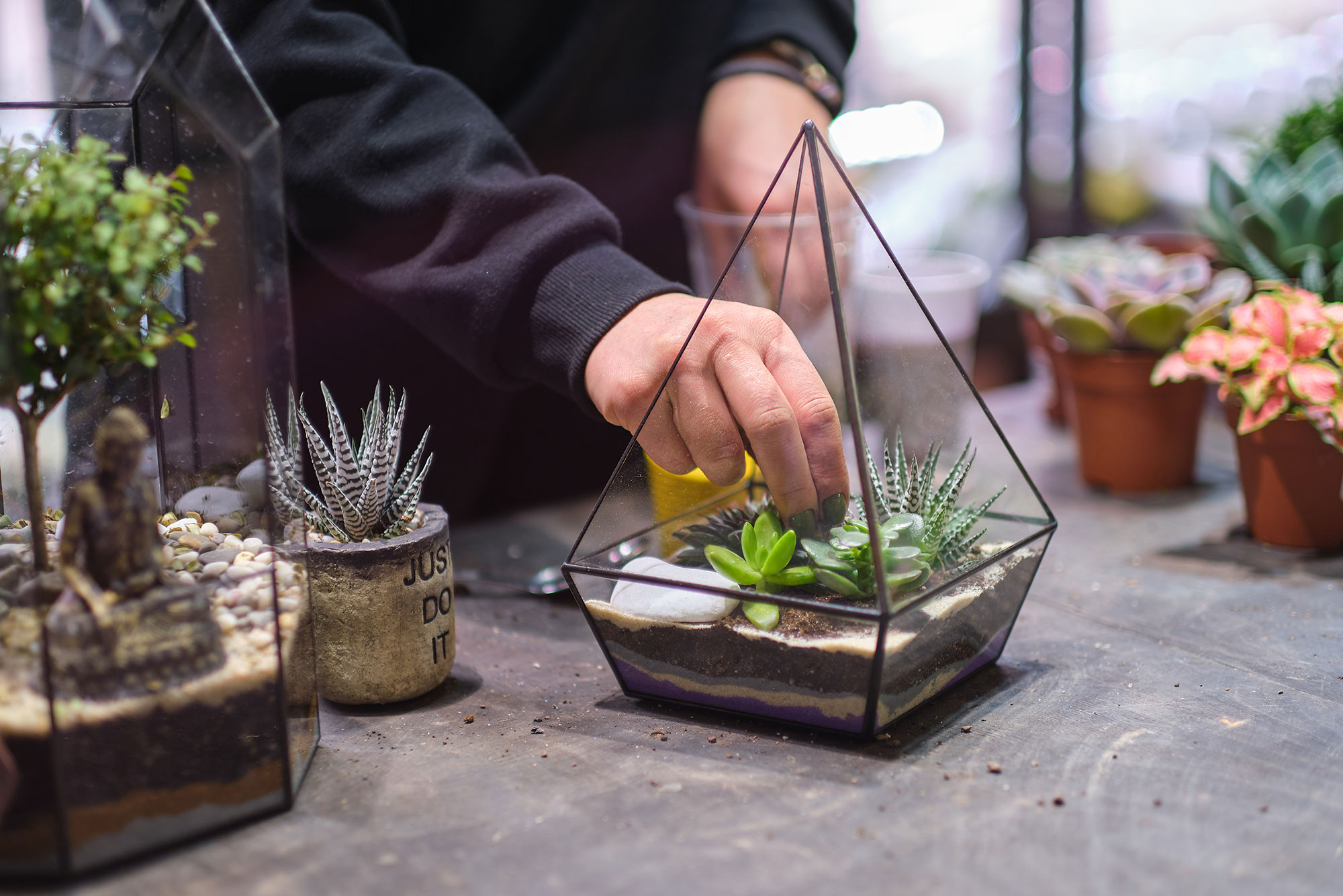 To Do Today: Create Your Own Terrarium, BU Today