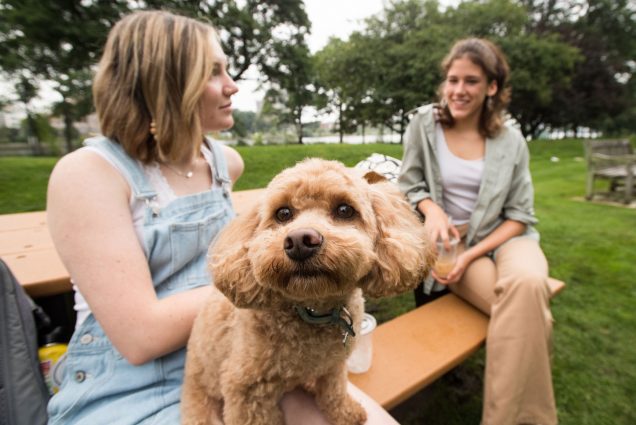 Photo of three-year-old golden doodle Joy, sitting in the lap of her owner Cora Lu, left, who wears overalls, and works as a campus minister at Navigators, as she chats with Zoe Rice (CGS’22), who holds a drink in her hands, on July 14 on BU Beach.