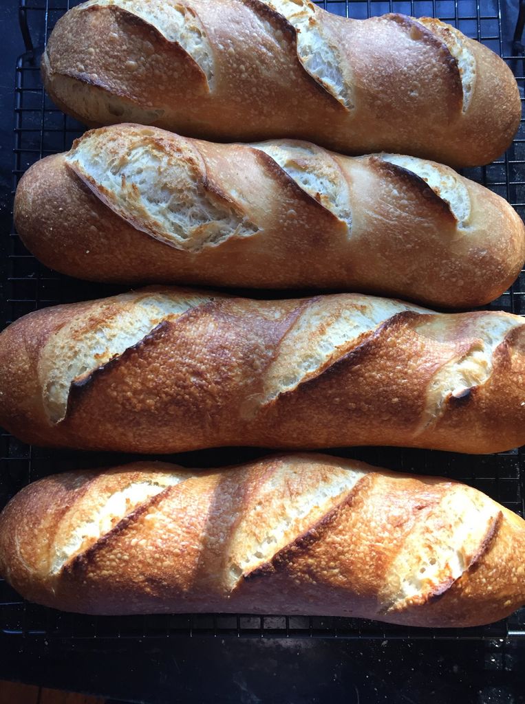 Sourdough baguettes, fresh baked by Virginia Sapiro, cooling on a counter.