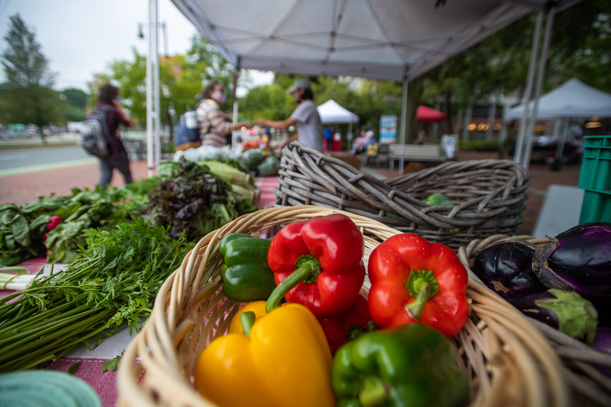 A photo of assorted, multicolored vegetables and greens in the forefront. Students make a purchase at the weekly farmer’s market at the GSU Plaza in the background.