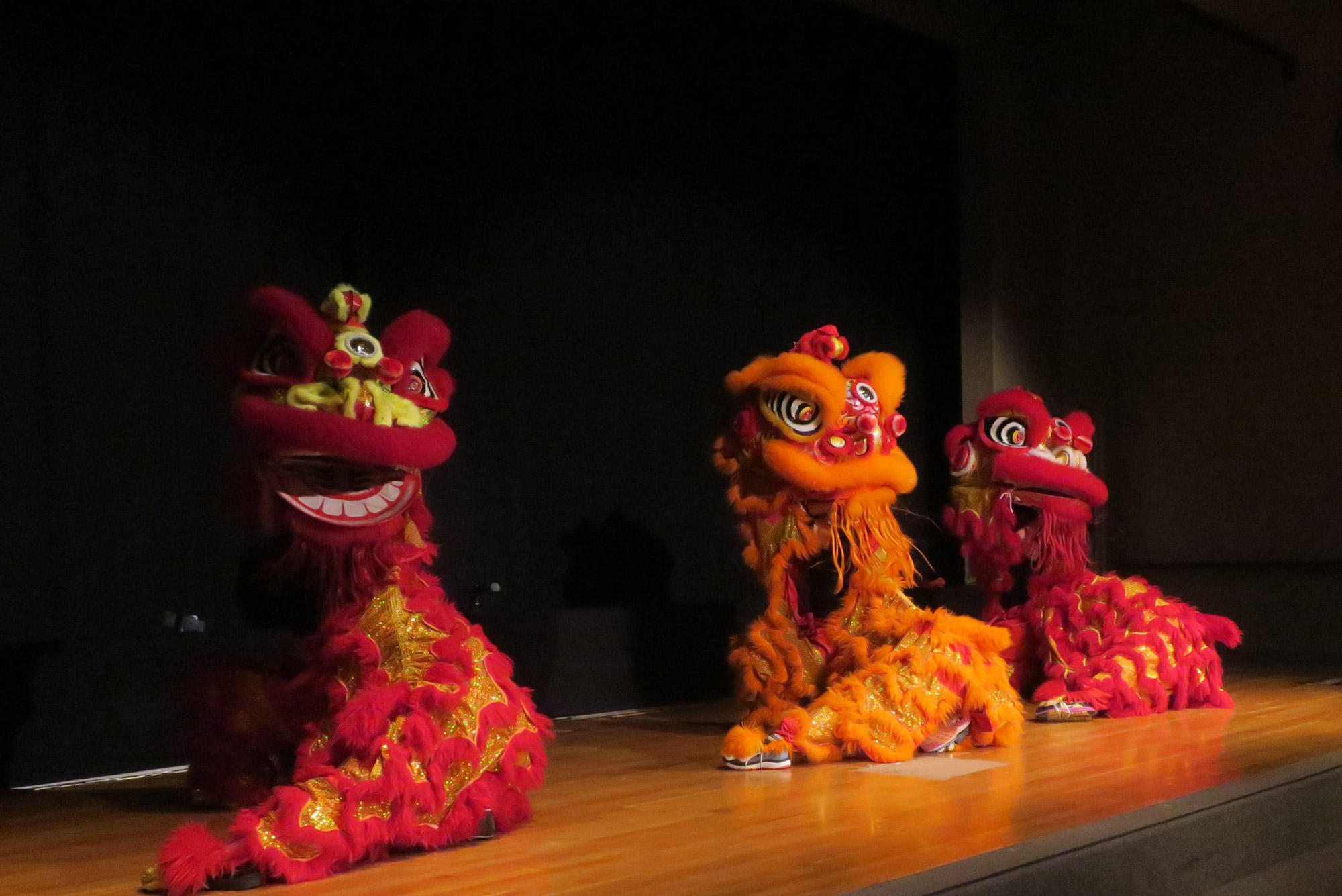 Photo of Gund Kwok, an all-female Asian lion and dragon dance troupe. The members are wearing red and orange dragon costumes during a performance on stage.