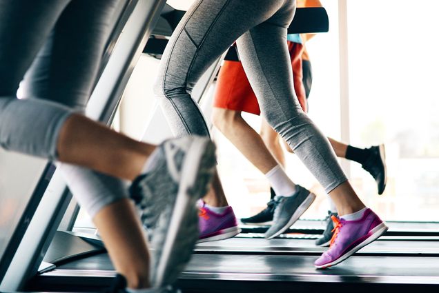 Picture of people running on treadmill in gym stock photo. They are seen from the waist down, and most of them wear gray leggings