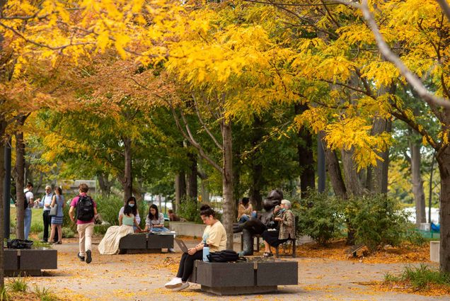 Photo of students sitting underneath trees with leaves that have turned yellow in mid-october. Students sit alone or in small groups, and some of them wear masks.