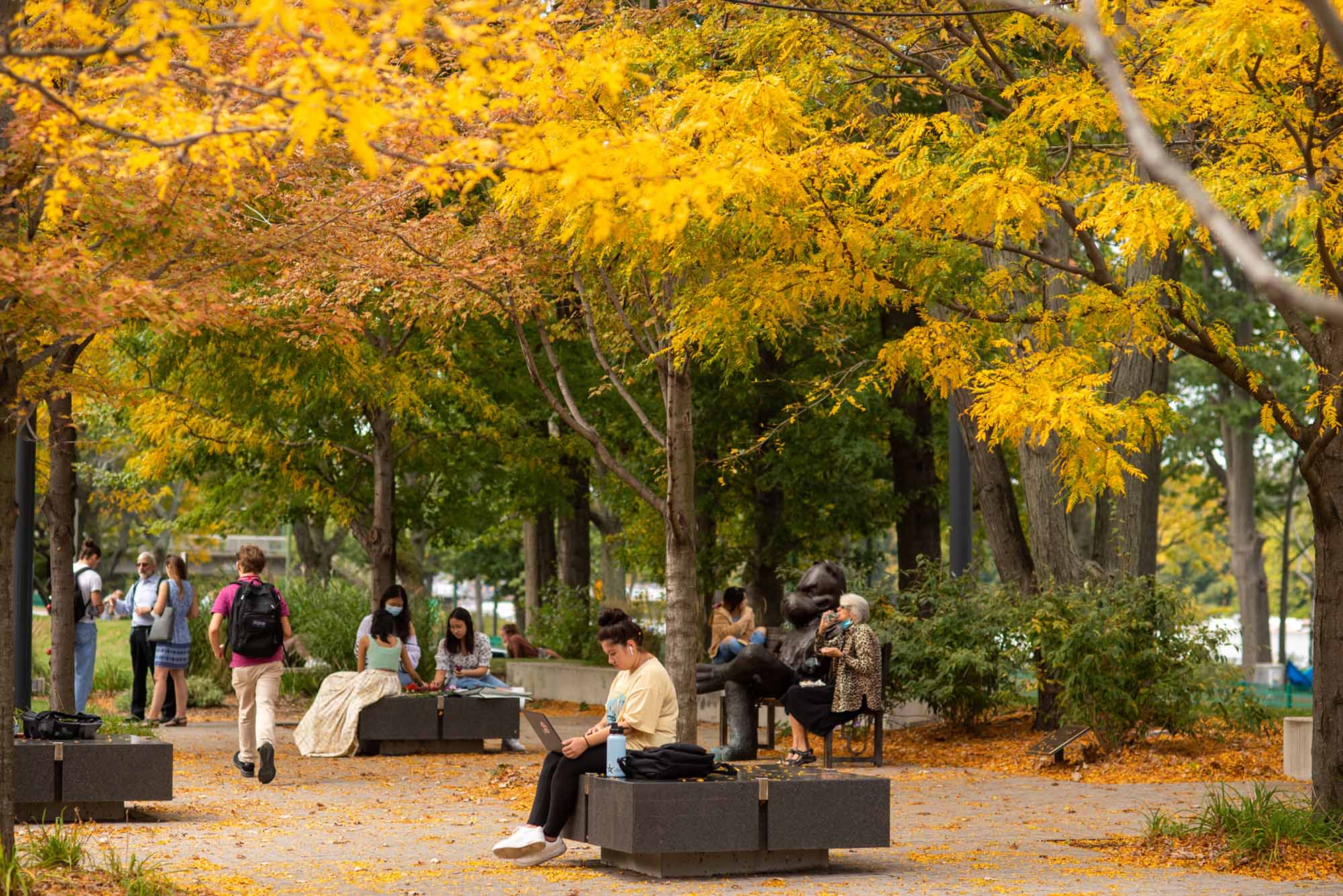 Autumnal Canopy BU Today Boston University