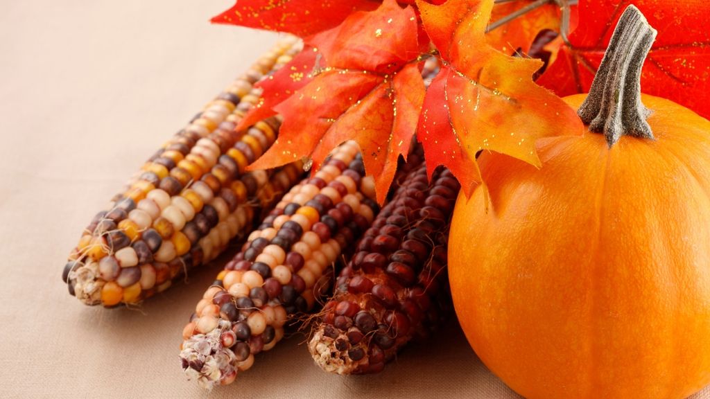 flint corn and a pumpkin