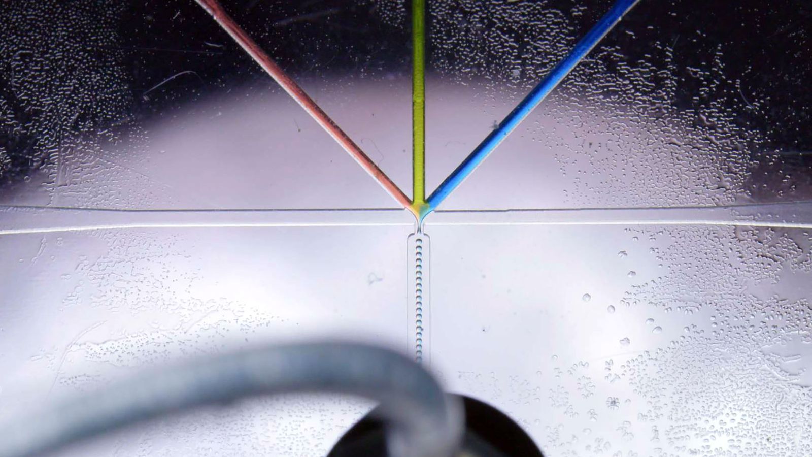Image of a microfluidic device, a tiny circuit boards for analyzing liquids, running. a red, yellow, and blue liquid come together from 3 different to meet in the center and combine to create a new chemical that streams through a new tube in tiny droplets