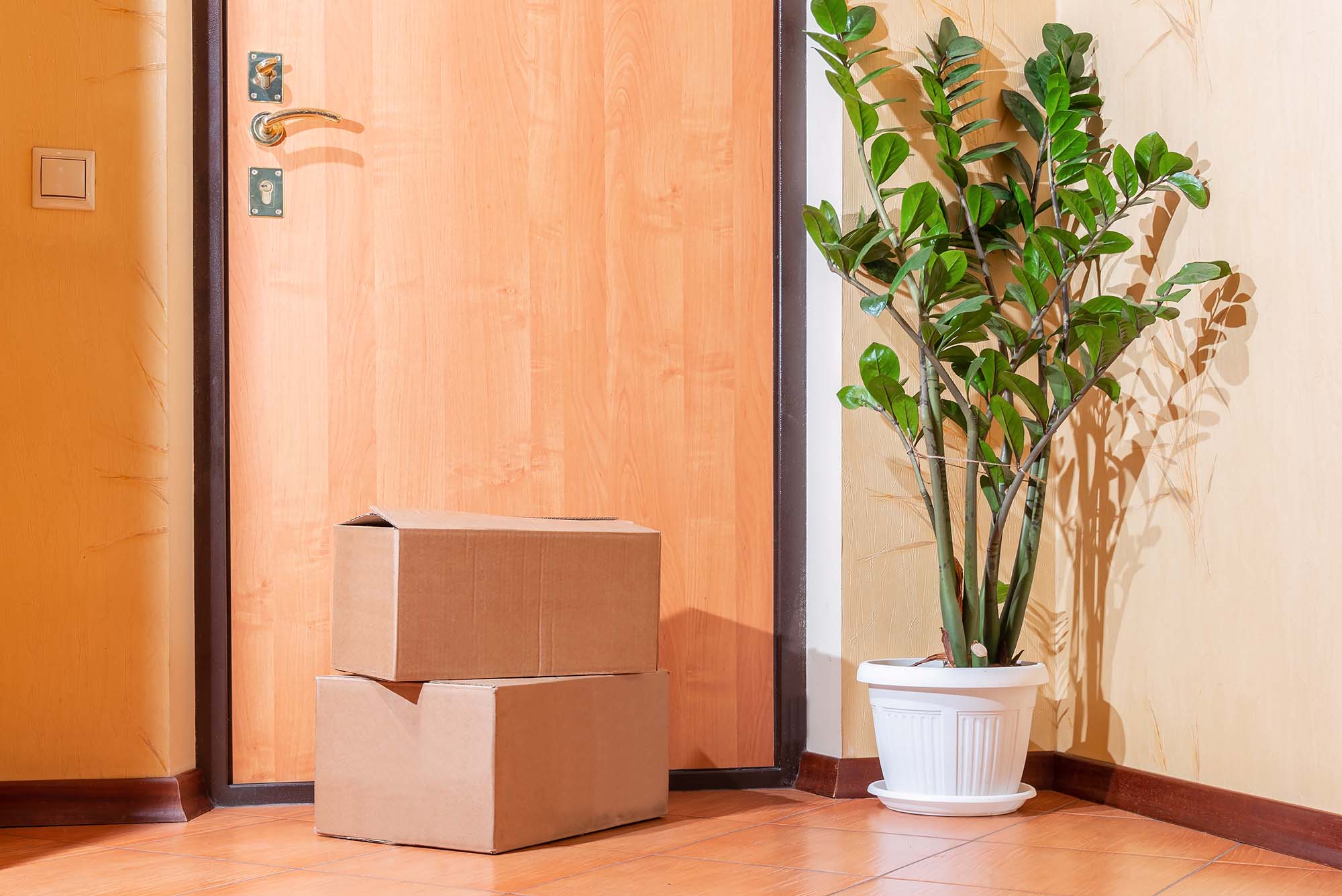 photo of 2 brown boxes stacked in front of a nondescript apartment door. a potted indoor tree stands to the side of the door.