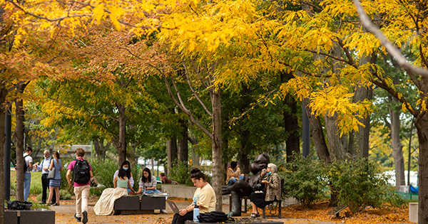 Candid photo of people walking, talking, and reading on warm fall day by the Alan and Sherry Leventhal Center. They're surrounded by trees with yellow and orange fall leaves and wear little to no layers for warmth.