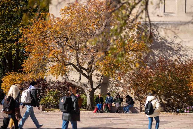 Photo of a tree with its leaves turned orange. Students sit underneath the tree on a bench, and others walk by with backpacks and fall jackets on.