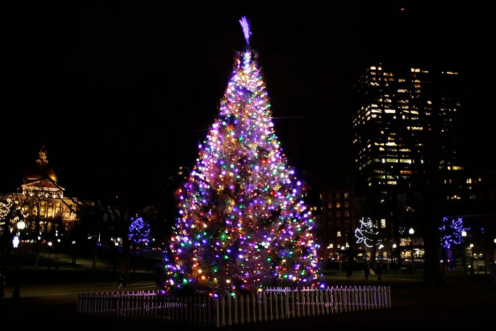 photo of a large, lit, multicolored Christmas tree during a dark night in the Boston Commons.